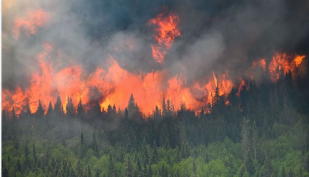 20 Ribu Orang Mengungsi Akibat Kebakaran Hutan di Kanada
